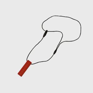 pelocis